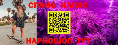 PSILOCYBIN Абакан