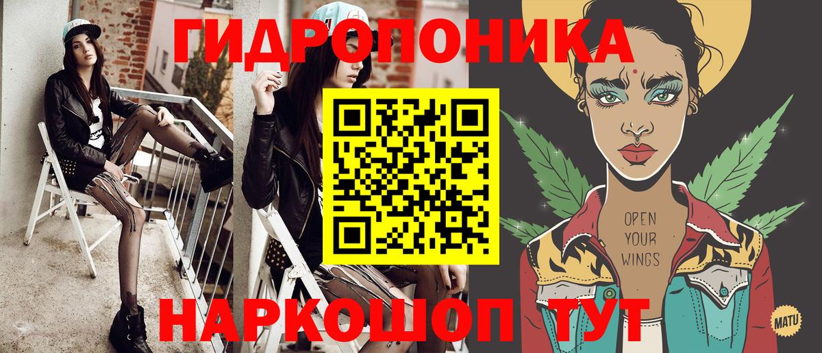 Бошки Шишки план Алексеевка